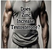 zinc increase testosterone
